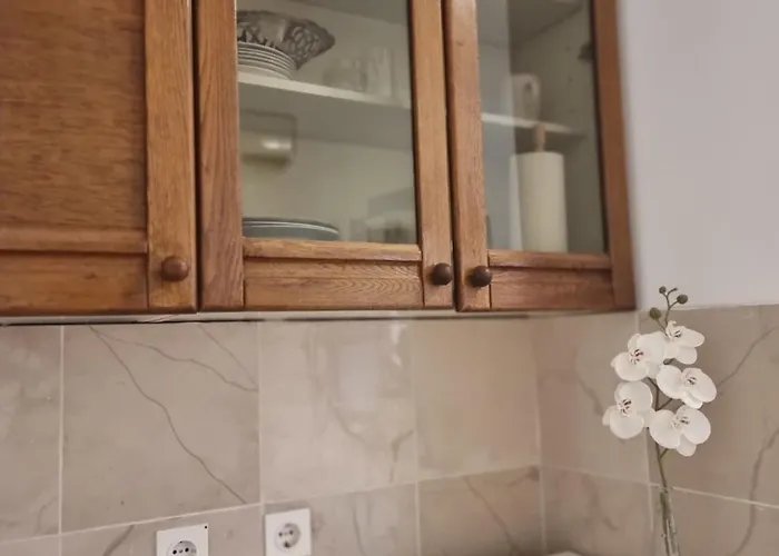 Center D16 In The Ancient Palace *